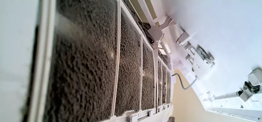 Preventive Air Duct Bacteria Removal in Keller