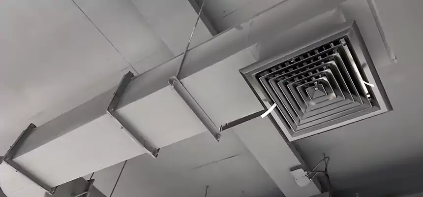 Our Pest Removal From Ducts Services in Keller, TX