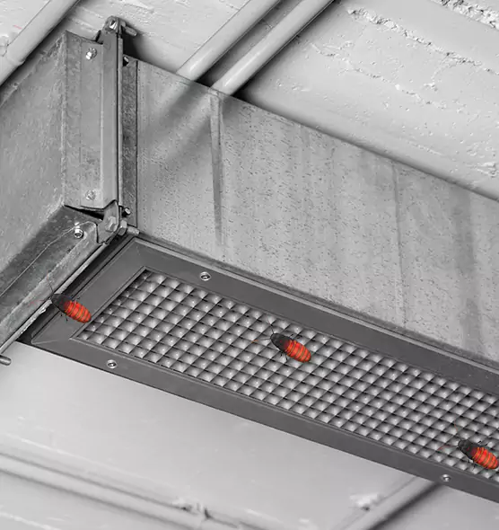 Affordable Insect Removal from Air Ducts in Keller, TX