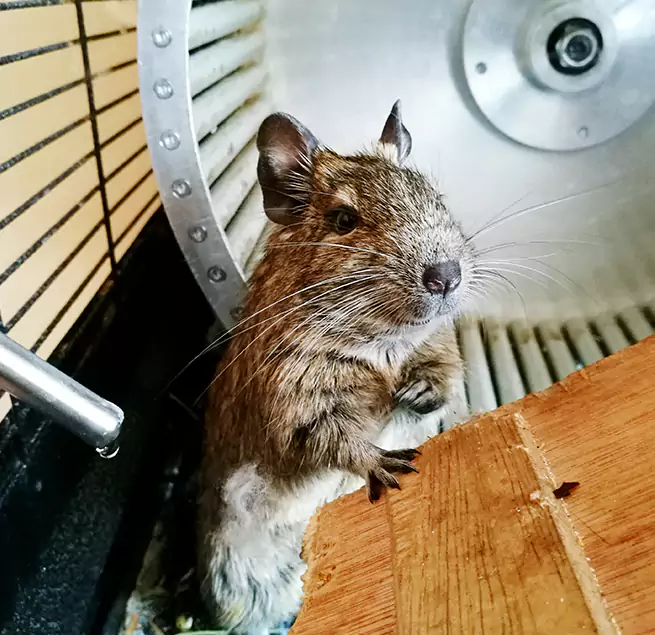 Why Homeowners & Businesses Trust Us Keller, TX?